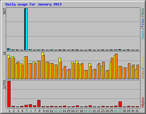Daily usage for January 2013