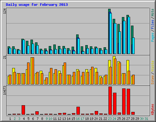 Daily usage for February 2013