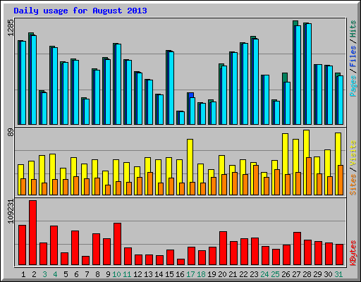 Daily usage for August 2013