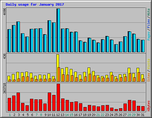 Daily usage for January 2017