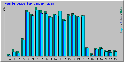 Hourly usage for January 2013