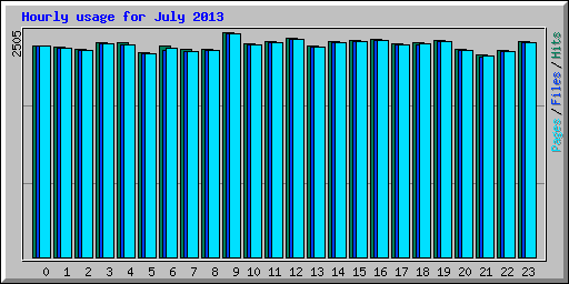 Hourly usage for July 2013