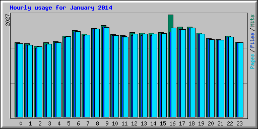 Hourly usage for January 2014