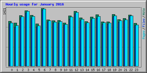 Hourly usage for January 2016