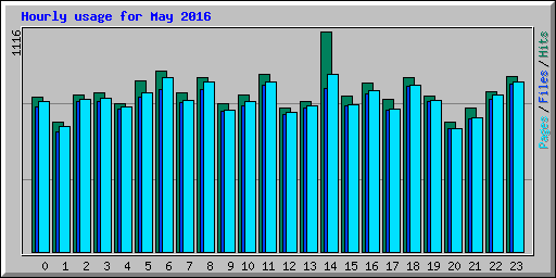 Hourly usage for May 2016