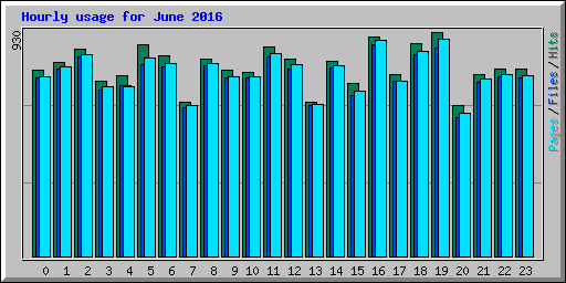 Hourly usage for June 2016