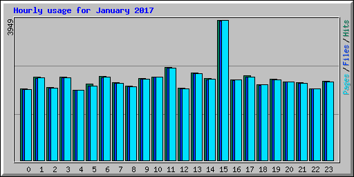 Hourly usage for January 2017